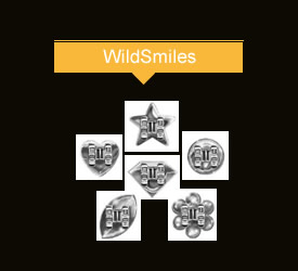 WildSmiles